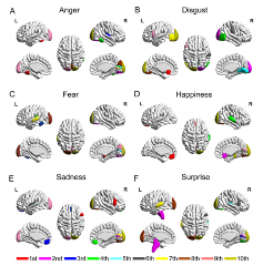情绪脑机接口揭示情感密码(图1)