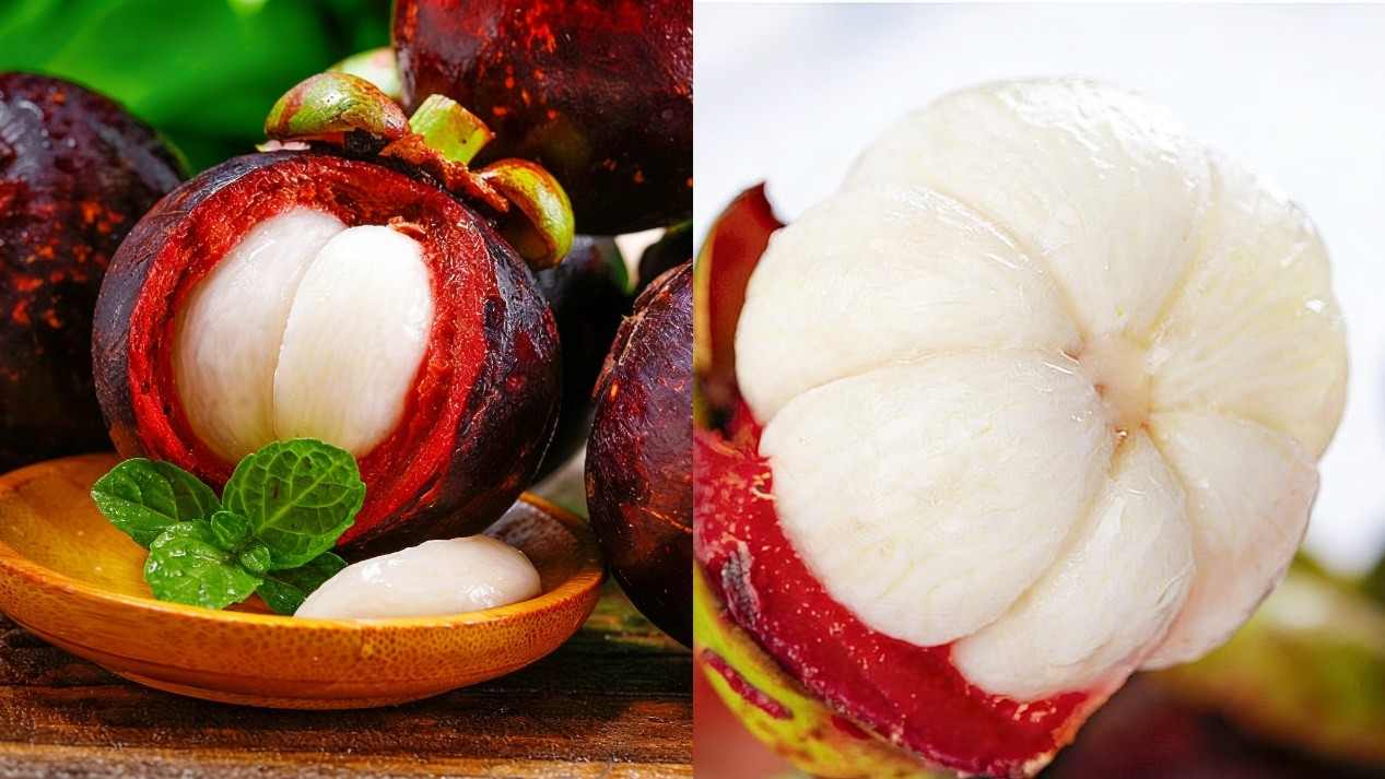 领取你的新年“第一口鲜”!京东生鲜新年购物季开启,多款爆品满199元享6.5折(图3) 领取你的新年“第一口鲜”!京东生鲜新年购物季开启,多款爆品满199元享6.5折(图3)