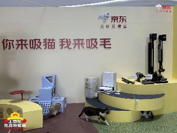 京东生活小家电启动“公益猫窝”计划 全国投放10000个温暖猫窝(图5)