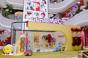 京东生活小家电启动“公益猫窝”计划 全国投放10000个温暖猫窝(图4)