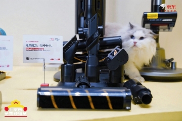 京东生活小家电启动“公益猫窝”计划 全国投放10000个温暖猫窝(图6)