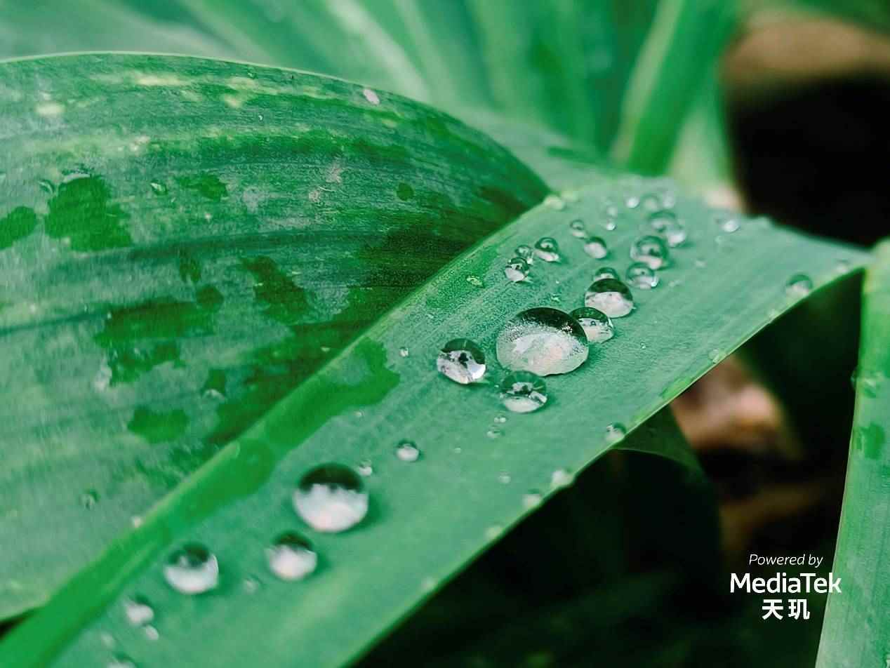 天玑9200搭载Imagiq 890 影像处理器，点满手机拍照科技树(图10)