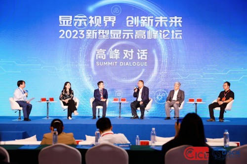 初芯基金徐凯旋:发挥资本力量推动新型显示产业跃进发展(图1)