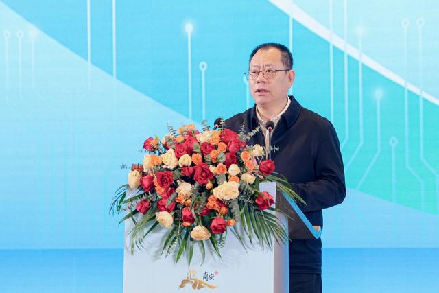 聚焦新质生产力，共绘产业新蓝图，新质南翼·新极未来发展大会成功举办(图2)