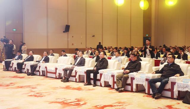 聚焦新质生产力，共绘产业新蓝图，新质南翼·新极未来发展大会成功举办(图1)