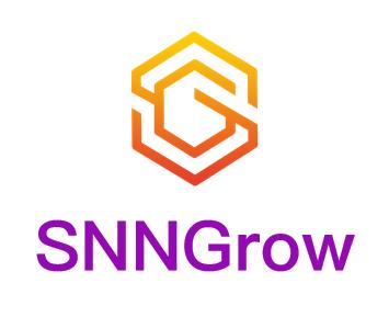 SNNGrow生长低功耗脉冲神经网络类脑仿真和训练框架 开源发布(图1)