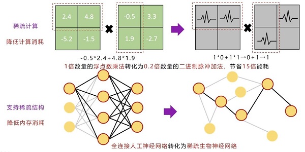 SNNGrow生长低功耗脉冲神经网络类脑仿真和训练框架 开源发布(图2)