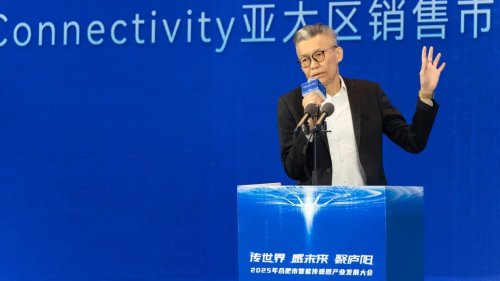 聚势而生，齐聚庐阳| “2025年合肥市智能传感器产业发展大会”圆满举办！(图5)