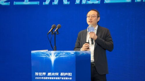 聚势而生，齐聚庐阳| “2025年合肥市智能传感器产业发展大会”圆满举办！(图2)