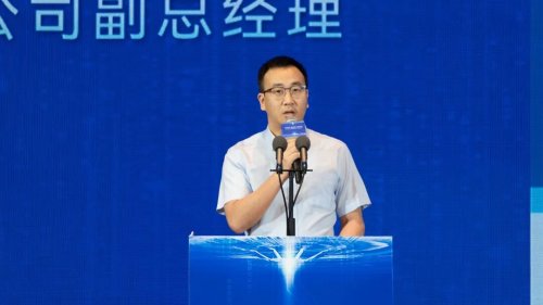 聚势而生，齐聚庐阳| “2025年合肥市智能传感器产业发展大会”圆满举办！(图7)