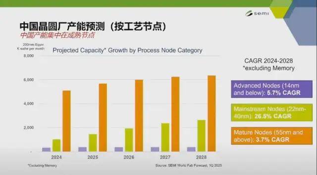 SEMI 中国总裁冯莉：中国有望出现世界级的平台型设备企业(图6)